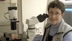 Dr. Joanne Kurtzberg is director of the Pediatric Bone Marrow and Stem Cell Transplant Program at Duke University Medical Center in Durham, North Carolina