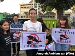 Aktivis satwa dan Lingkungan, Manohara Odelia Pinot saat melakukan penolakan terhadap sirkus lumba-lumba di Medan, Sabtu (22/6) (foto: VOA/Anugrah Andriansyah)