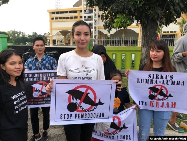 Aktivis satwa dan Lingkungan, Manohara Odelia Pinot saat melakukan penolakan terhadap sirkus lumba-lumba di Medan, Sabtu (22/6) (foto: VOA/Anugrah Andriansyah)