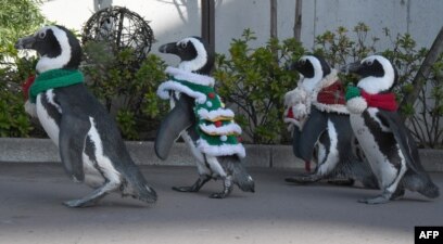 17圣诞节在中国 台湾和亚洲 33图