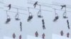 Skier Rescues Friend Caught on Chairlift