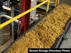 Agriculture fiber pulp moves along a conveyor belt at the Genera Energy plant, on its way to becoming compostable products, like PulpWorks' Karta-Pack.