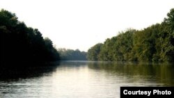 Sections of the Anacostia have become a paddler’s delight, like this scene near Bladensburg Park in Maryland. (Anacostia Watershed Society)