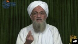 ایمن الظواهری، رهبر شبکه القاعده، اعلام کرد که از ملا هیبت الله آخوندزاده، رهبر تازۀ طالبان افغانستان، پشتیبانی می‌کند.