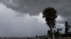 热带风暴“艾尔莎”逼近佛罗里达西海岸