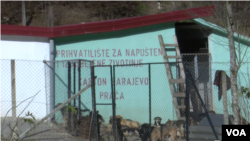 Horor azil Prača