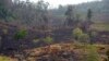 Land Rights Help Fight Fires in Guatemala Nature Reserve, Study Contends
