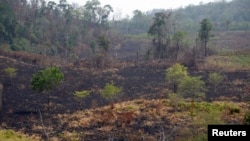 FILE - A view of a burned area in the Maya Biosphere Reserve, in San Andres municipality, Peten department, 500 kilometers north of Guatemala City, June 5, 2016. Officials and environmentalists in Guatemala said drug trafficking was behind dozens of forest fires that had damaged 8,000 hectares in the jungle department of Petén, on the border with Mexico and Belize, since January.