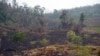 ARCHIVO - Guatemala, como otros países de la región, hace frente a desastres ecológicos por lo que cooperantes -como entes del sector privado- buscan invertir en proyectos forestales en el país. Esta imagen de la selva del Petén muestra también rutas del narcotráfico.