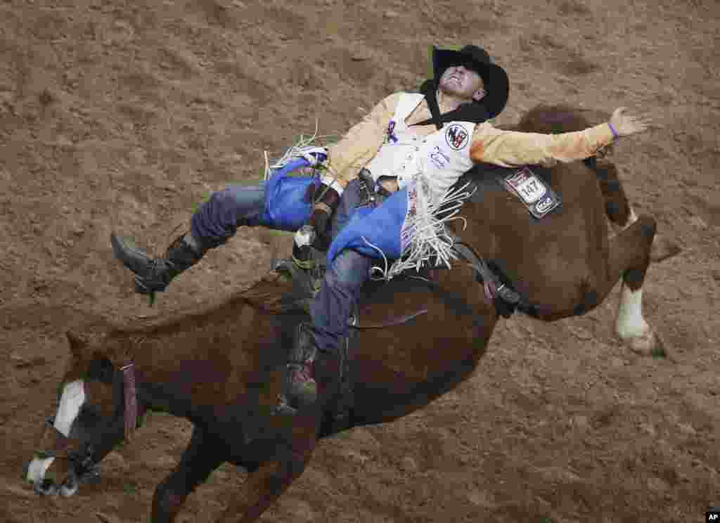 Seth Hardwick competes in the bareback riding event for a third place score of 81.0 during the seventh go-round of the National Finals Rodeo in Las Vegas Dec. 9, 2015.
