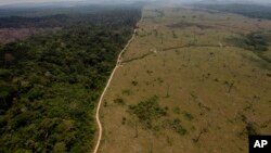 Esta foto del septiembre de 2015 muestra un área desforestada cerca de Novo Progreso en el norteño estado de Para, en Brasil.