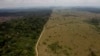 Ilmuwan: Melindungi Hutan Saja Tidak Cukup