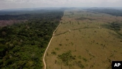 Foto yang diambil pada 15 September 2009 ini menunjukan wilayah hutan yang gundul dekat Novo Progresso di negara bagian utara Brazil, Para. Pemerintah Brazil mengatakan perusakan hutan hujan tropis Amazon meningkat 28 persen. Peningkatan tajam penggundulan hutan terjadi pada periode sepanjang Agustus 2012 sampai Juli 2013, ketika Brazil mengukur kerusakan hutan tahunan. (AP Photo/Andre Penner, File)
