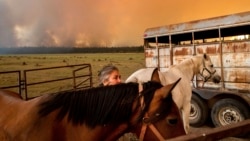 Les feux de forêts dévastent la communauté de Greenville en Californie