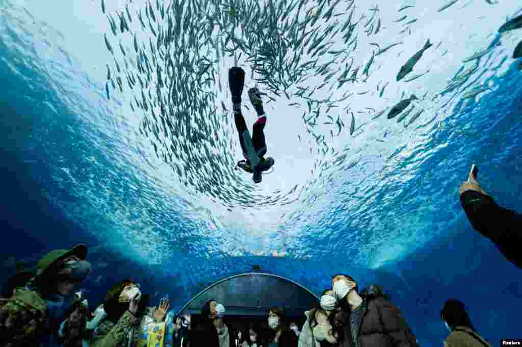 A diver wearing Santa Claus costume swims in a large fish tank with fish, as visitors wearing protective face masks look on, during an underwater performance for the Christmas celebration, at Hakkeijima Sea Paradise in Yokohama, Japan.