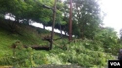 Algunos cables de electricidad fueron afectados por la caída de árboles en las carreteras de la isla.