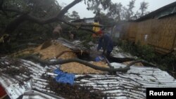 “寶霞”颱風吹襲菲律賓﹐大樹倒塌砸毀房屋