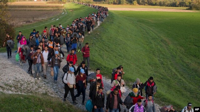 Migrantes caminan en un dique después de cruzar de Croacia hacia Eslovenia, el martes, 20 de octubre de 2015.