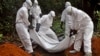 Эбола как оружие террористов: блеф или реальность? 