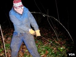 Volunteer Kevin Head clears ivy in the pre-dawn darkness at Olympia's Priest Point Park in Washington State. (T. Banse/VOA)