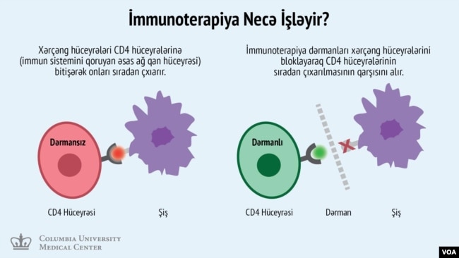 immunotherapy