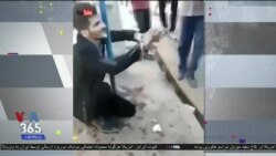 بازتاب آزار و شکنجه دو نفر توسط پلیس ایران در ملا‌عام