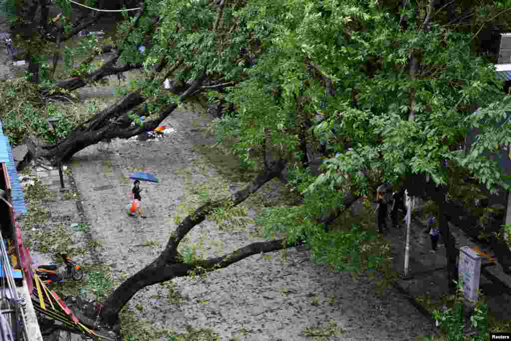 A woman walks past unrooted trees after Typhoon Nida in Shenzhen, Guangdong Province, China, August 2, 2016.