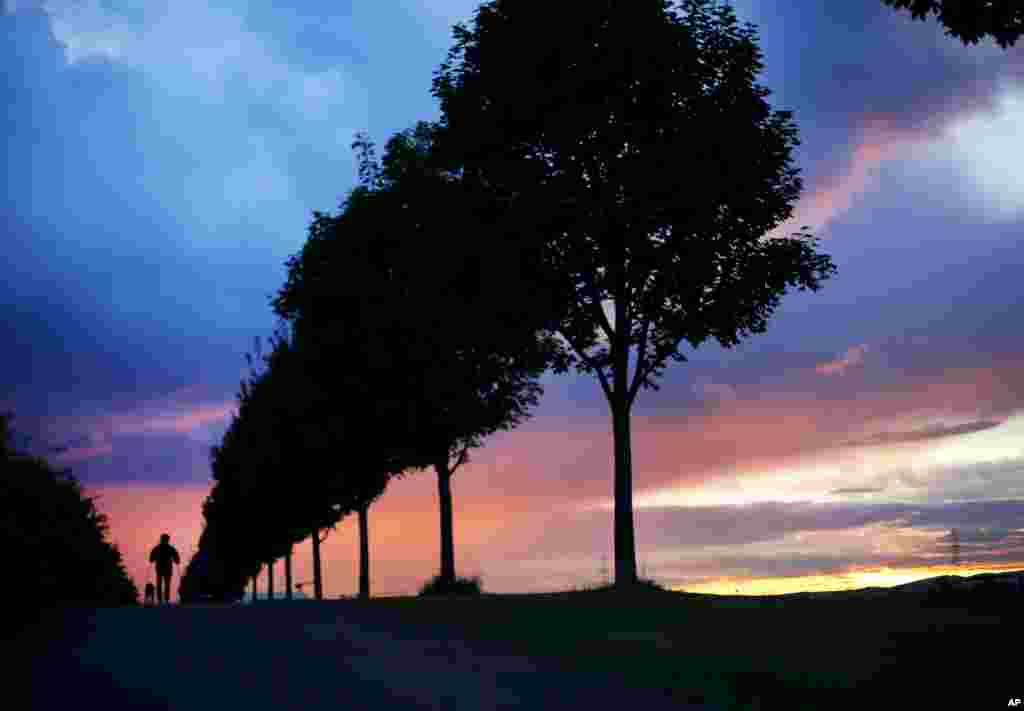 A man walks his dog in the park as the sun sets, in Frankfurt, Germany.