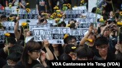 參與集會的人士手持象徵台灣反服貿的太陽花及反暴力執法標語 (美國之音湯惠芸拍攝)