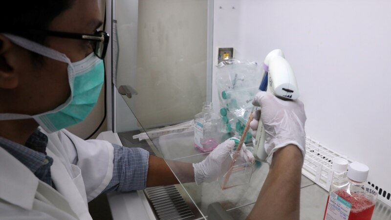 Scientists Try to Bring Back Malaysia’s Rhinos