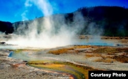 黃石公園（Yellowstone NP Courtesy Photo)