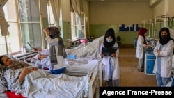 지난 1일 아프가니스탄 수도 카불 시내 병원 여성 의료진이 환자들을 살피고 있다. 