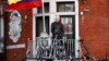 Assange cân nhắc đề nghị xuất hiện trước Ủy ban Thượng viện Mỹ
