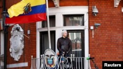 Julian Assange à l'ambassade d'Équateur à Londres, le 19 mai 2017