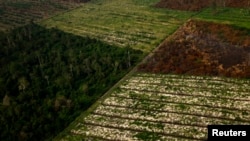 FILE - An aerial view of parts of a forest which has been burnt during haze in Indonesia's Riau province.