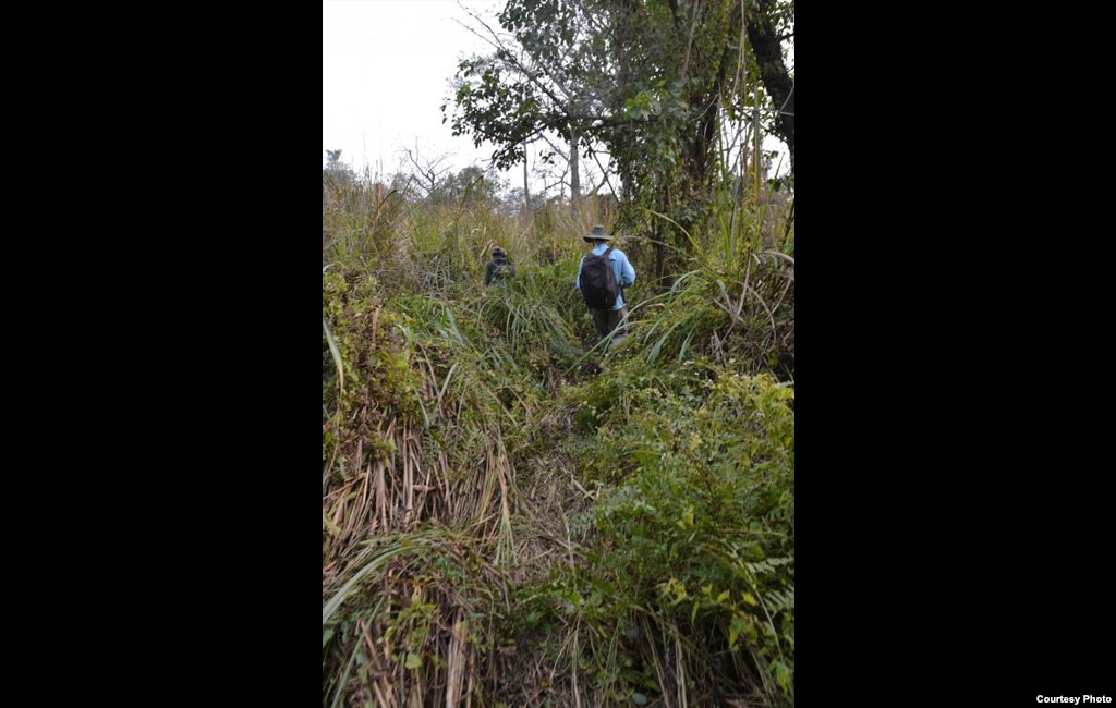 Researchers check out trails for locations to install motion-detecting camera traps. Credit: Center for Systems Integration and Sustainability, Michigan State University