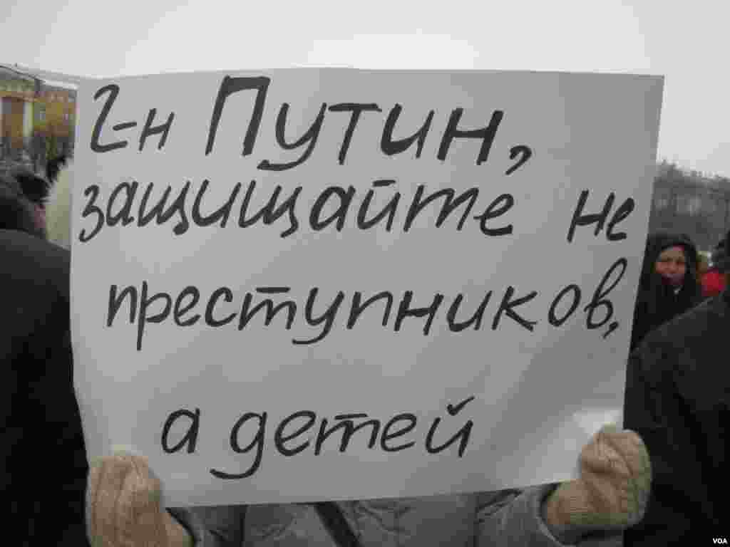 Плакаты участников митинга на Марсовом поле, Санкт-Петербург. 13 января 2013 года