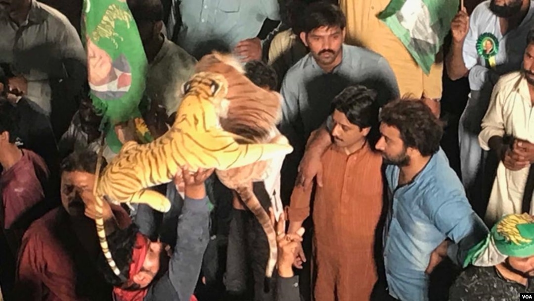 مسلم لیگ ن کے کارکن منگل کو صبح ہی جاتی عمرا پہنچ گئے تھے۔