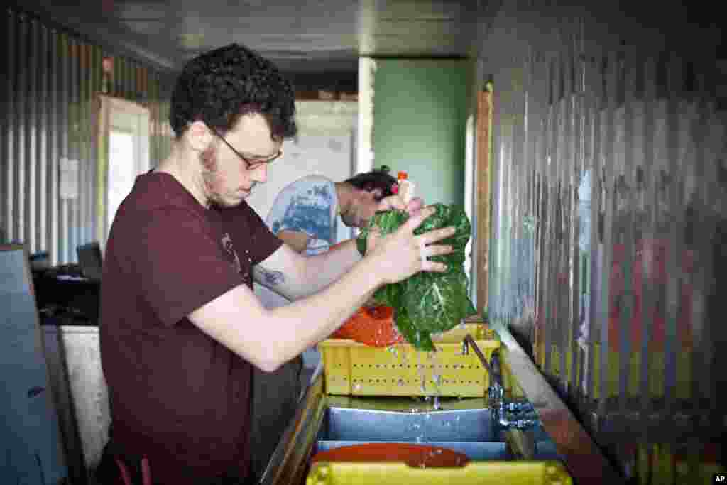  Ông Adam Schwartz rửa rau xanh trước khi có người đến chở đi. (Alison Klein/VOA)