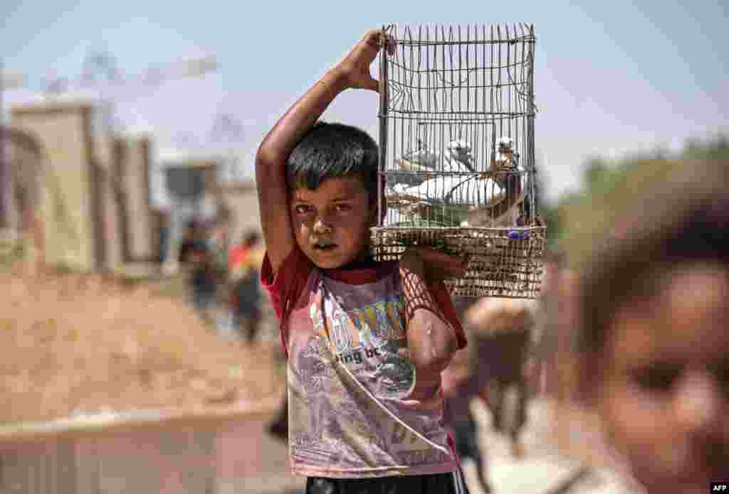 Seorang anak laki-laki Irak yang mengungsi membawa kandang burung-burung merpati piaraannya di sebuah kamp bekas hotel Nineveh di Mosul, Irak.