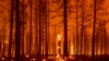 Warga California Berharap Cuaca Bantu Pemadaman Kebakaran Hutan