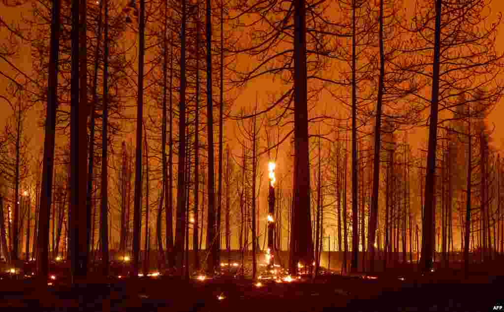 Trees smolder and burn during the Dixie Fire near Greenville, California, Aug. 3, 2021.