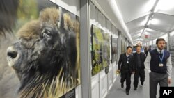 Delegados a las negociaciones sobre cambio climático caminan en un pasillo adornado con fotos del medio ambiente.