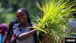 Support for farmers improves household incomes and builds food security.