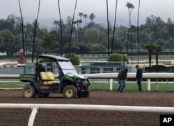 Investigators test the track surface at Santa Anita Park in Santa Anita, Calif., March 7, 2019. Santa Anita has canceled horse racing indefinitely to re-examine its dirt surface after the deaths of at least 27 horses since December.