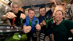 Nan foto sa a ke la NASA pataje, astwonot Mark Vande Hei, Shane Kimbrough, Akihiko Hoshide ak Megan McArthur pose pou yon foto pandan yap kenbe piman yo elve nan stasyon spasyal entenasyonal la ISS, 5 Nov. 2021.