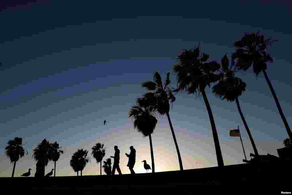 پیاده روی در کنار ساحل ونیز در لس آنجلس کالیفرنیا &nbsp;