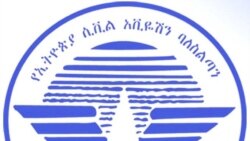 የታገዱ ሃያ አይሮፕላኖች እንዲበሩ ተፈቀደ