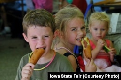 Children at the Iowa State Fair enjoy corn dogs on a stick.