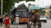 Cuba aumenta uso de tracción animal por crisis energética